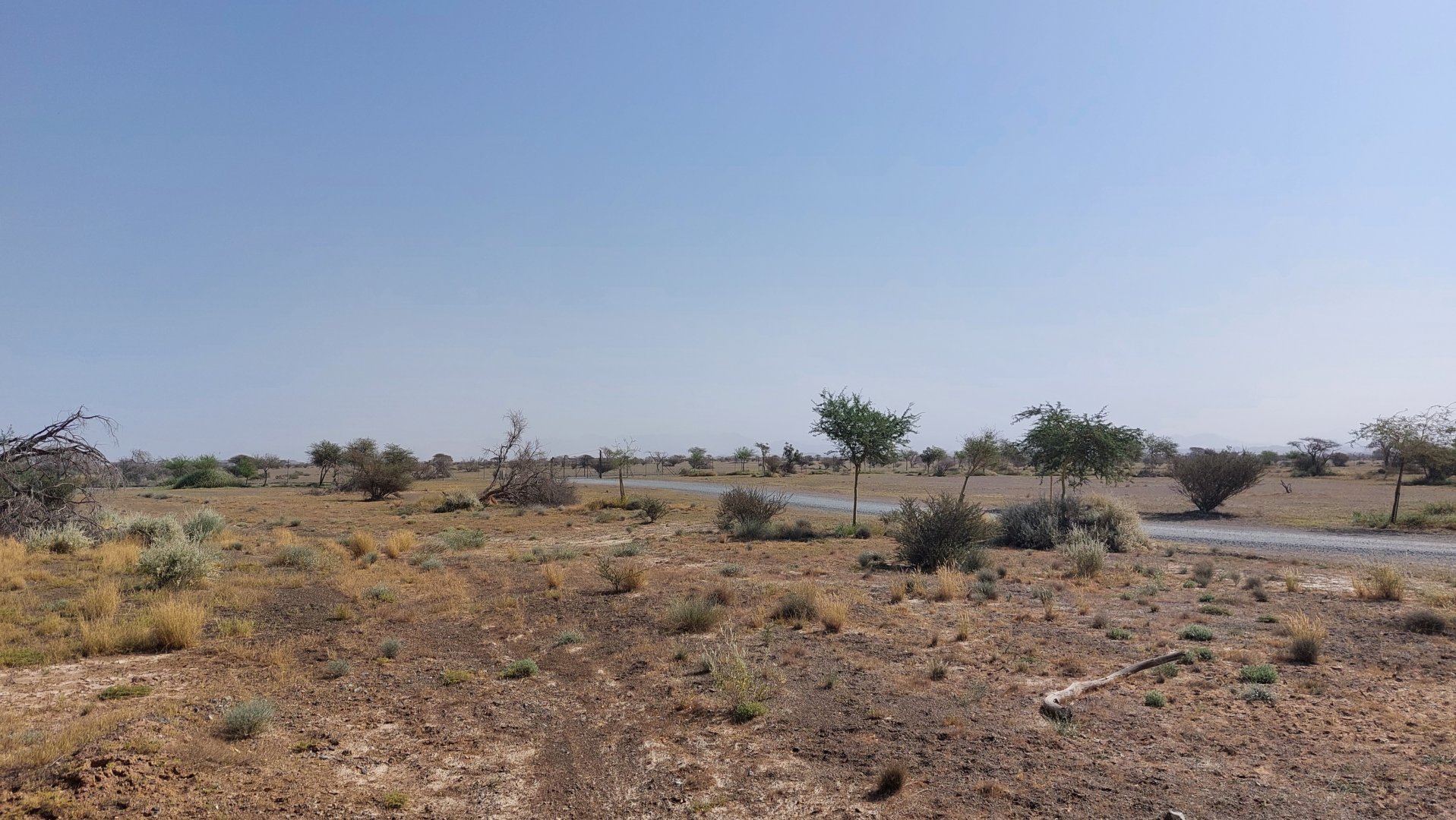 Landscape Savanne exhibit