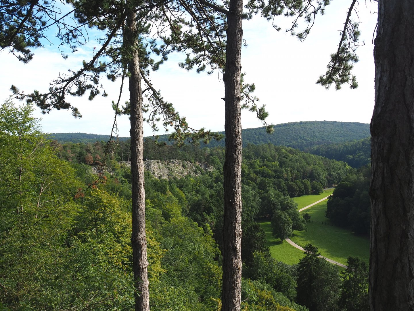 Landscape view of the Lesse Valley and the lower part of the wildlife park seen from the canopy trail, 2021-08-15