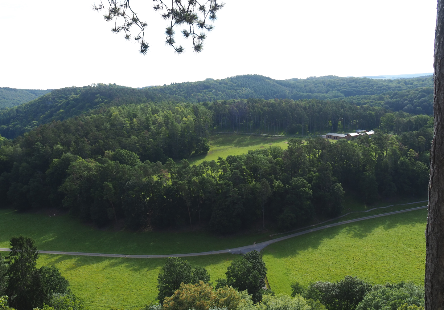 Landscape view of the Lesse Valley and the lower part of the wildlife park seen from the canopy trail, 2021-08-15