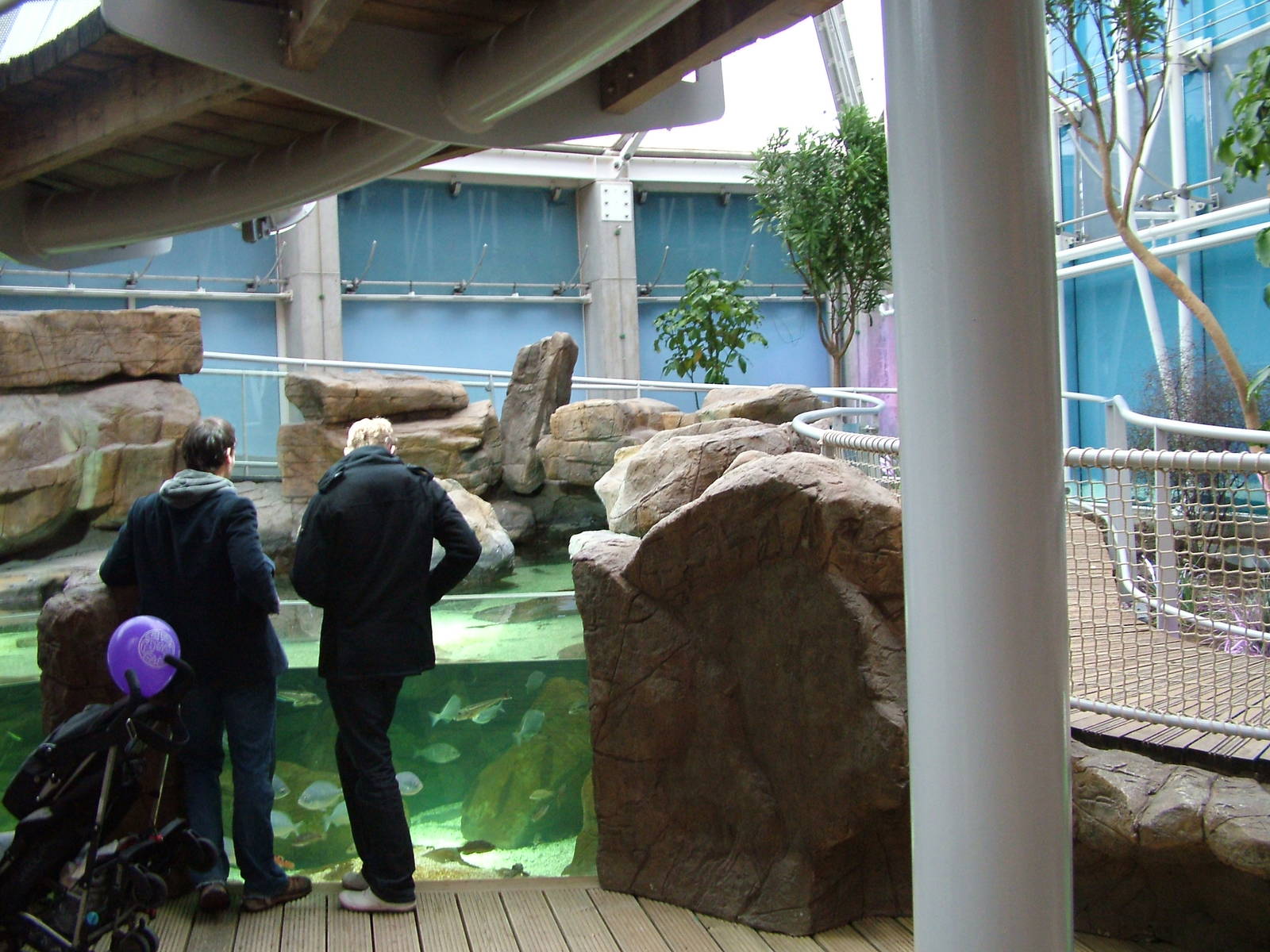 Landscaped area at Blue Reef Bristol 19/12/09