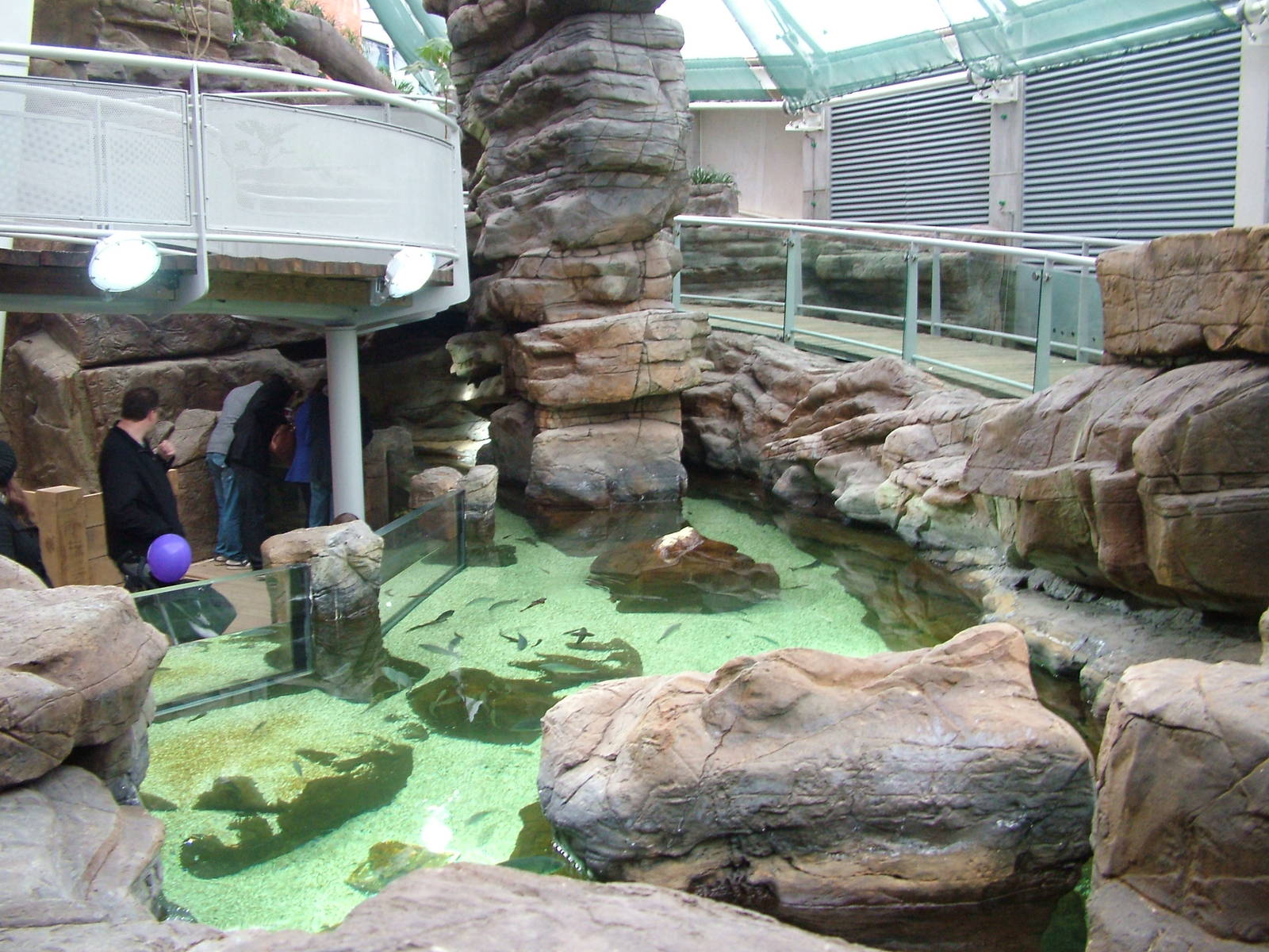 Landscaped area at Blue Reef Bristol 19/12/09