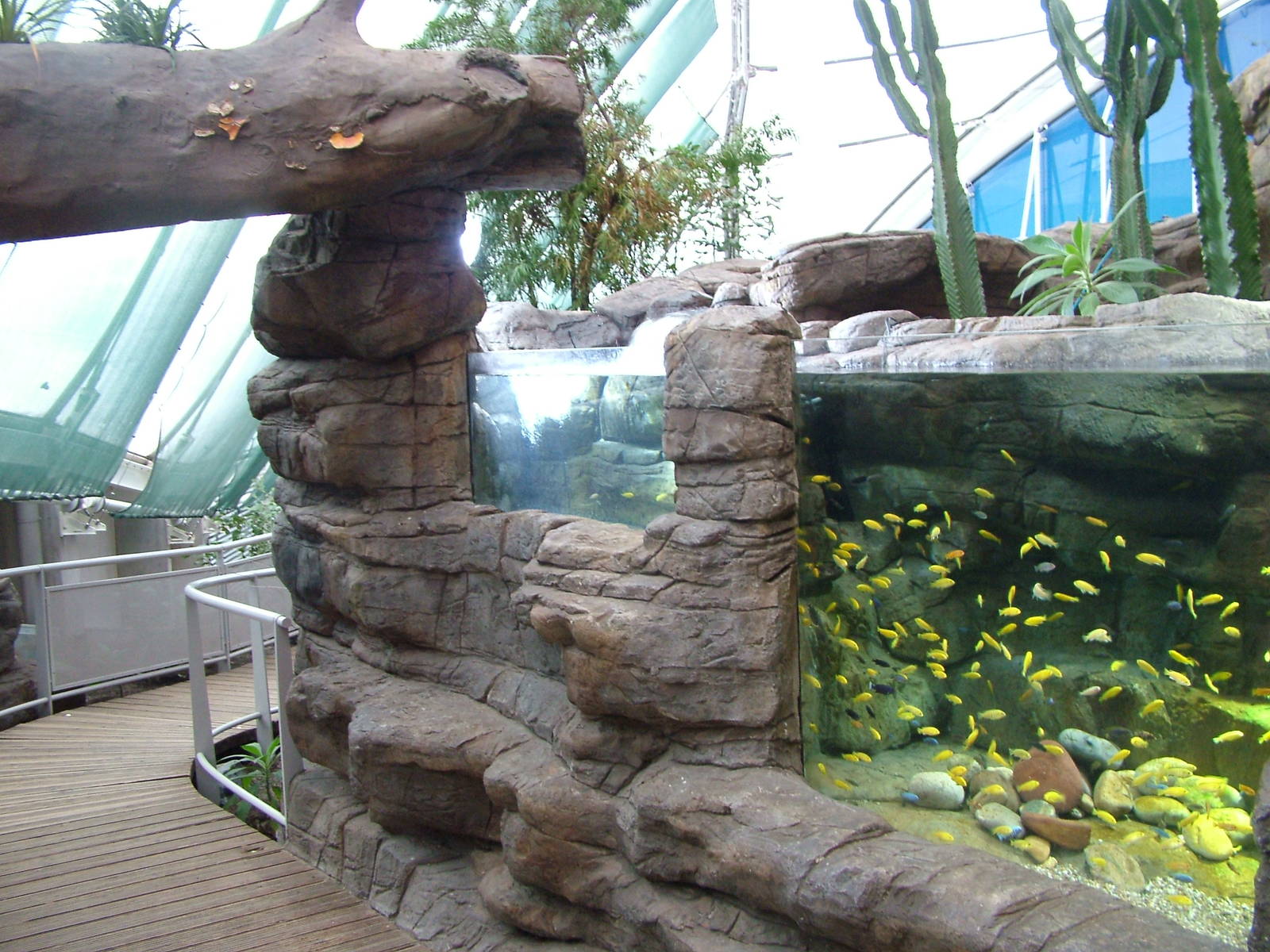 Landscaped area at Blue Reef Bristol 19/12/09