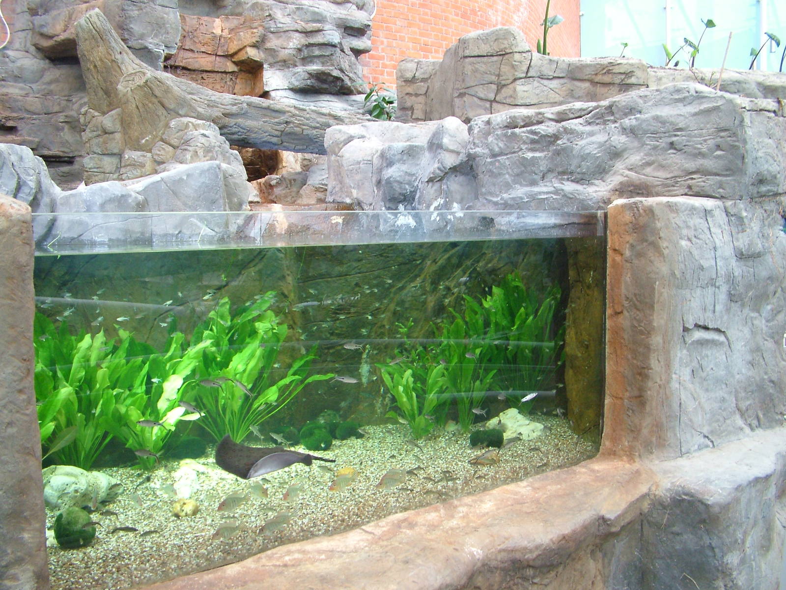 Landscaped area at Blue Reef Bristol 19/12/09