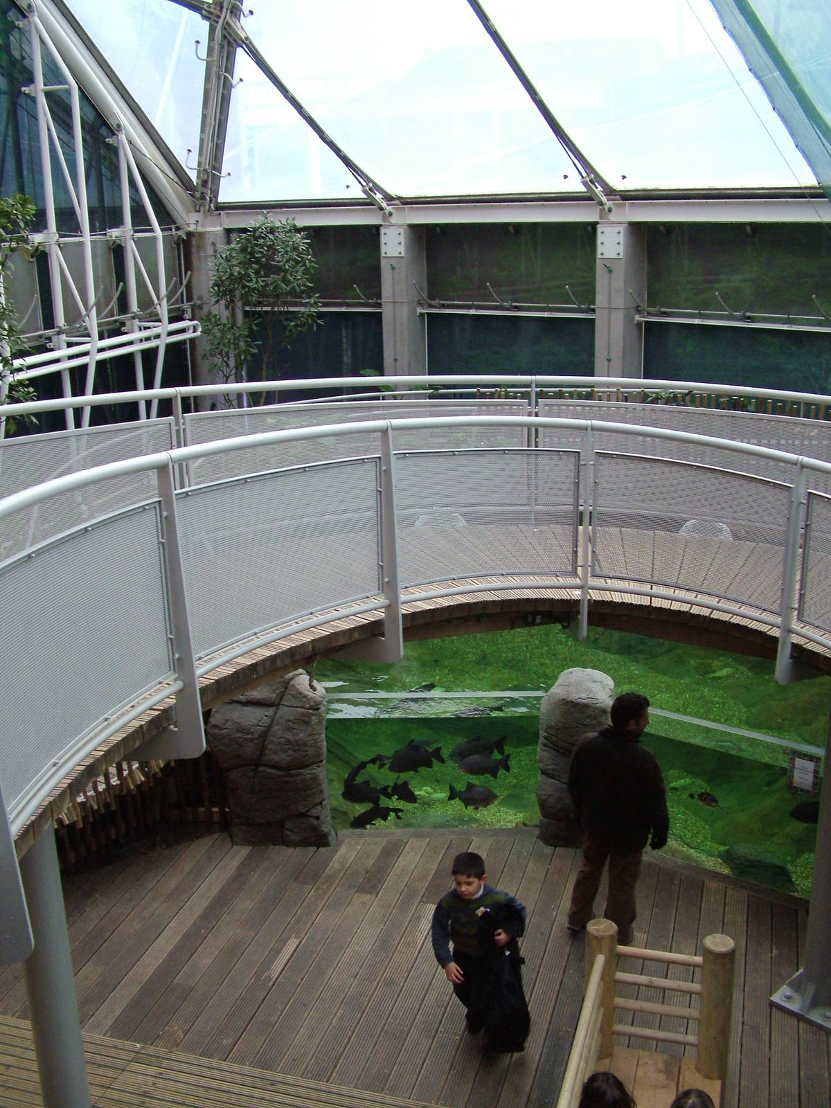 Landscaped area at Blue Reef Bristol 19/12/09