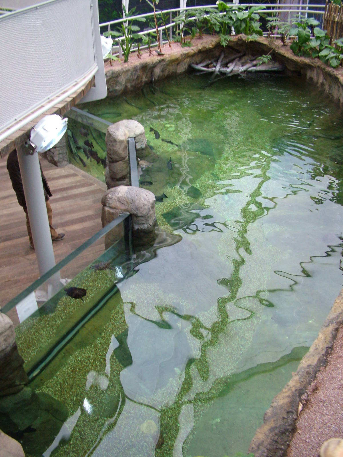 Landscaped area at Blue Reef Bristol 19/12/09