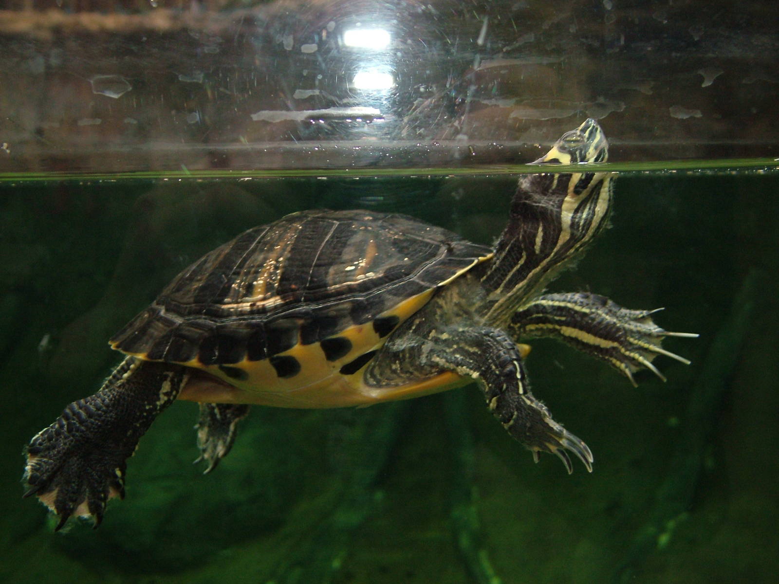 Landscaped area at Blue Reef Bristol 19/12/09