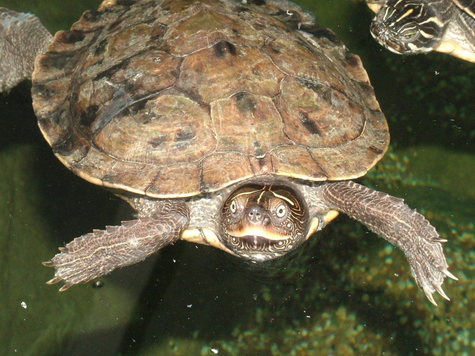 Landscaped area at Blue Reef Bristol 19/12/09
