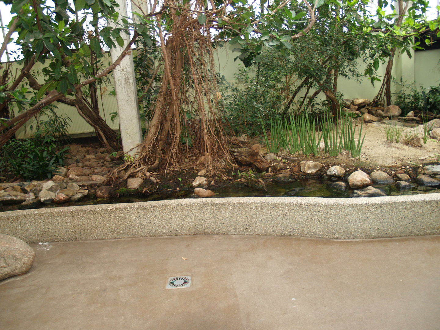 Landscaped area in the Africa House, 2008-03-01