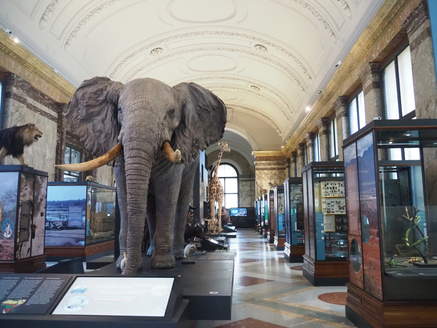 Landscapes and Biodiversity Hall, 2021-10-20