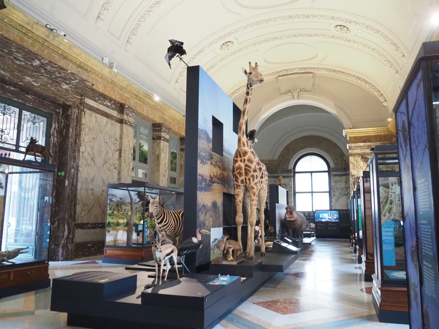 Landscapes and Biodiversity Hall, 2021-10-20