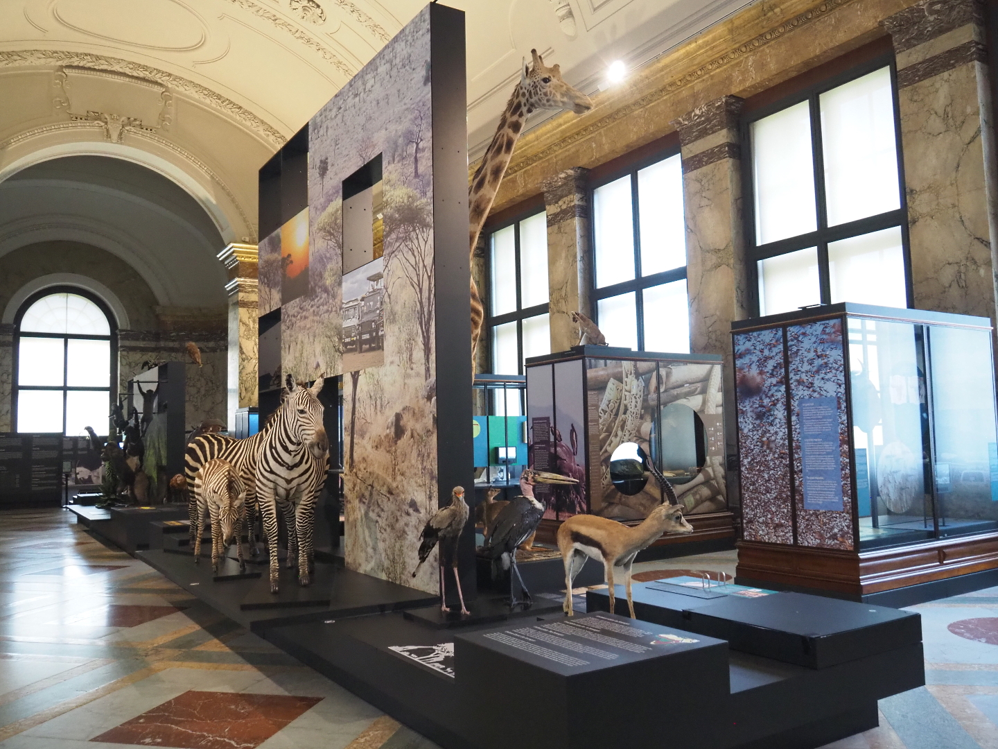 Landscapes and Biodiversity Hall, 2021-10-20