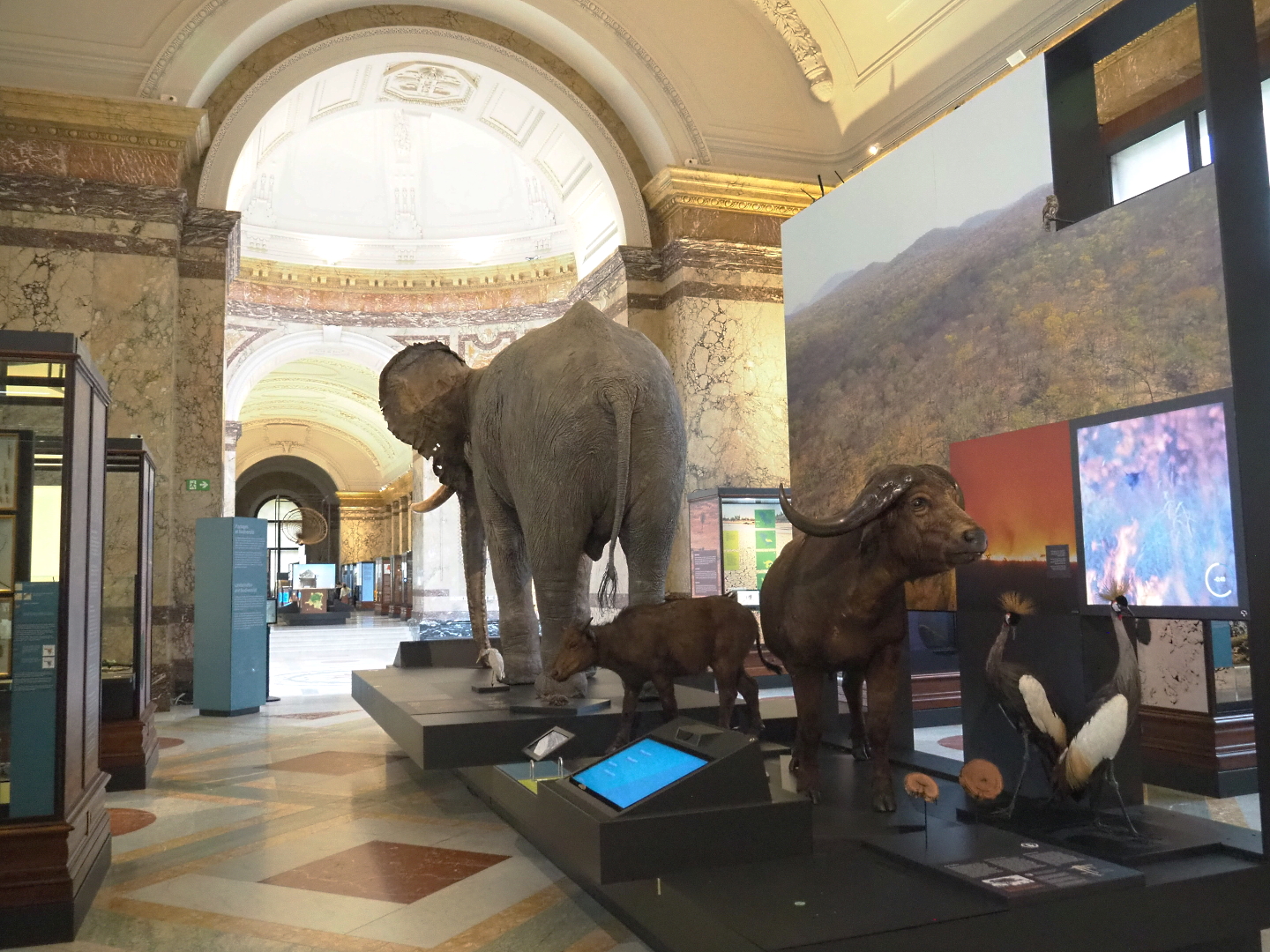 Landscapes and Biodiversity Hall, 2021-10-20