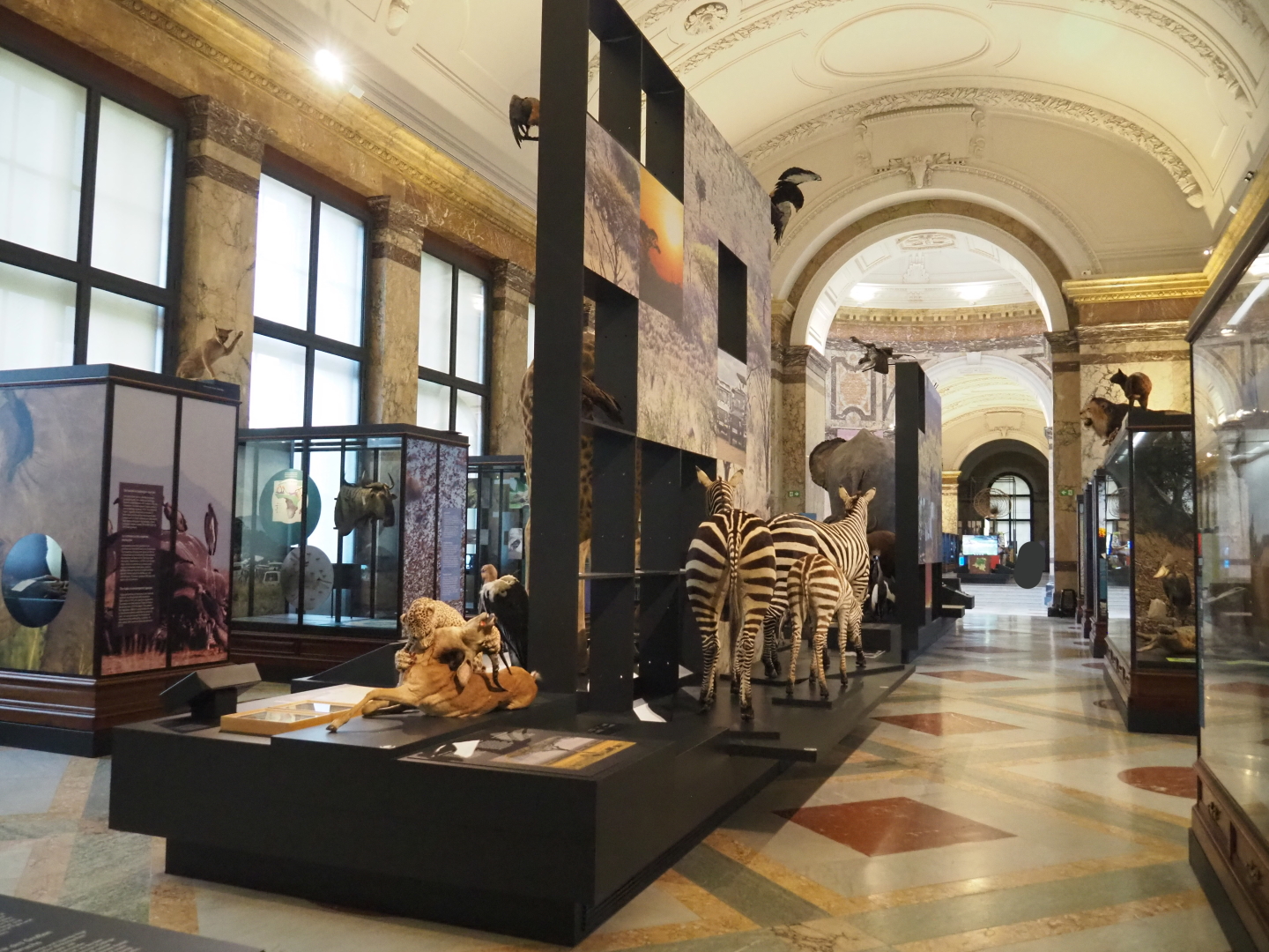 Landscapes and Biodiversity Hall, 2021-10-20