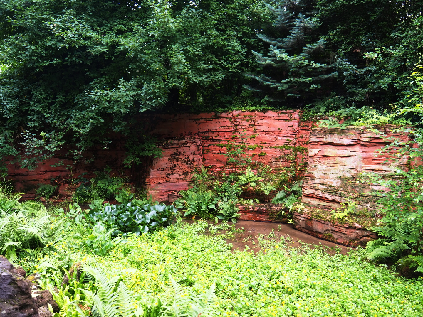 Landscaping in the entrance area, 2019-07-21