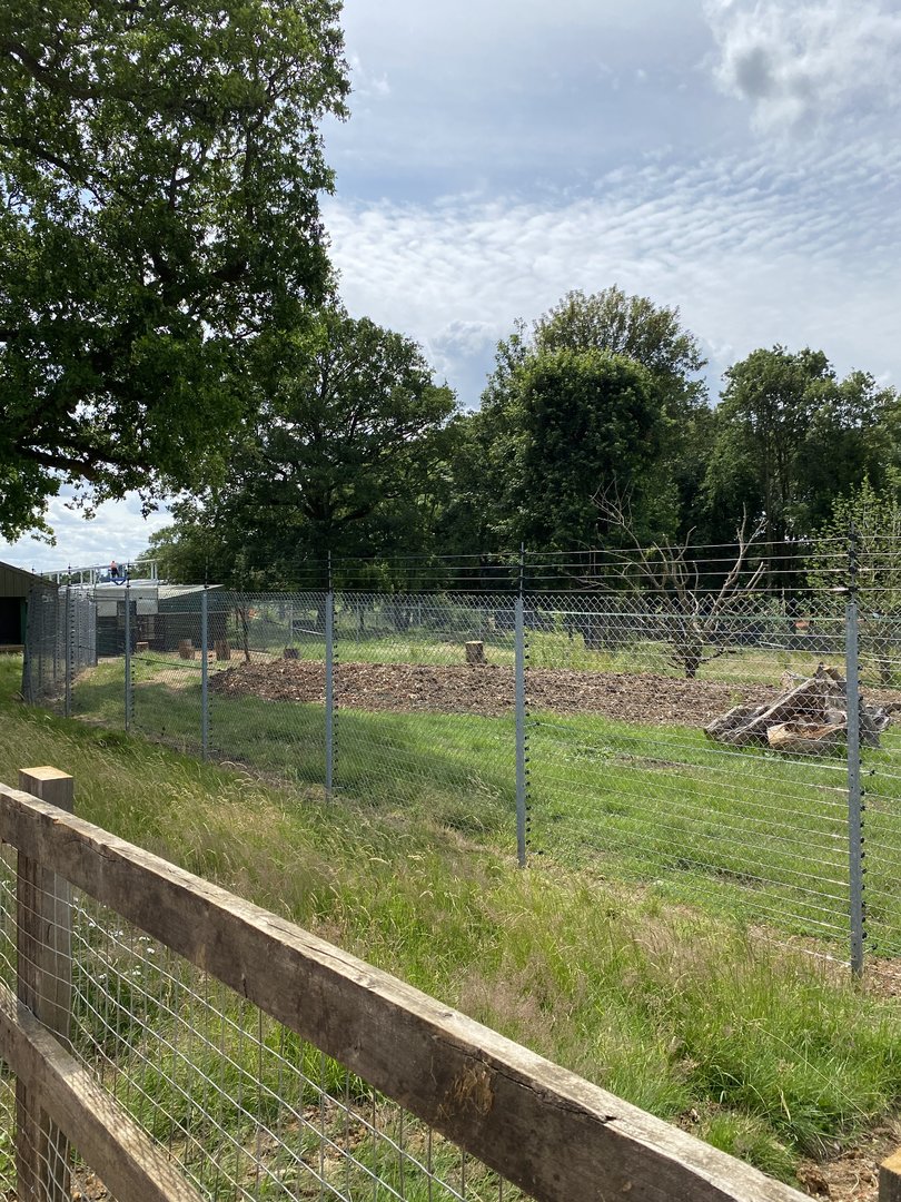 Langur and babirusa enclosure top end whipsnade