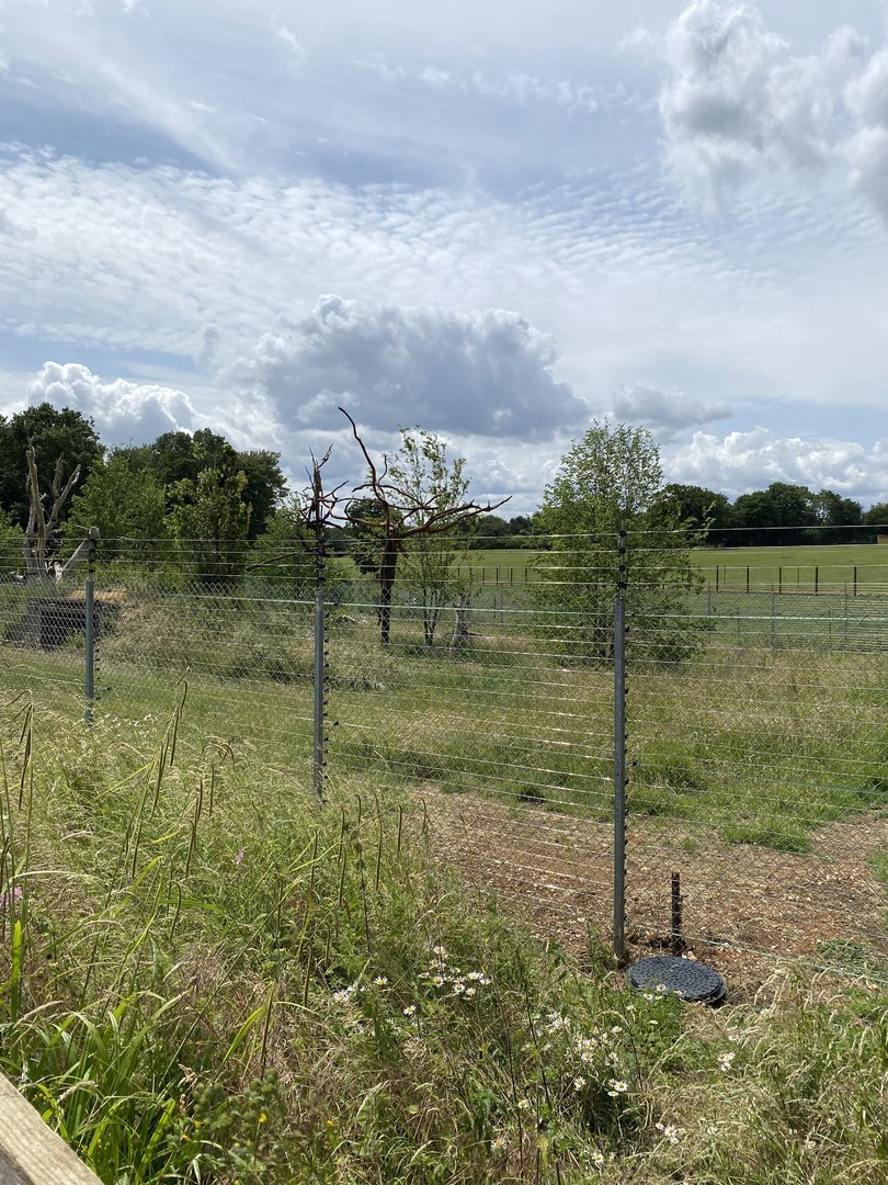 Langur and babirusa enclosure whipsnade