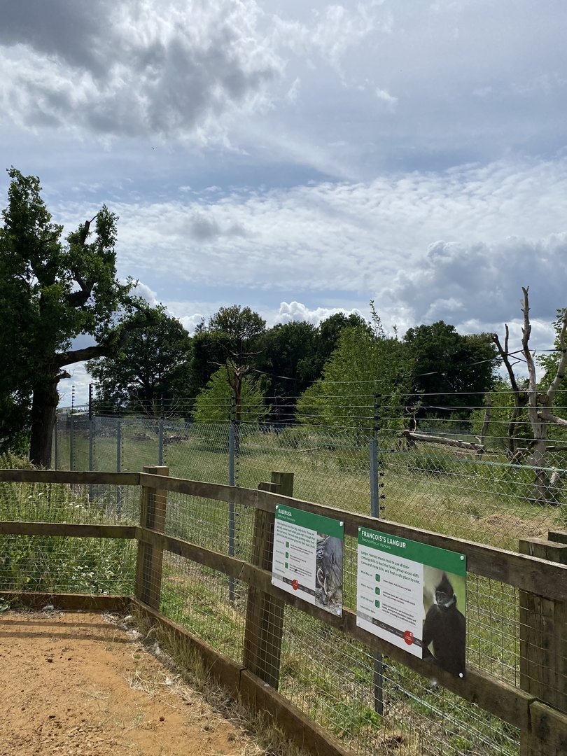 Langur and babirusa signage
