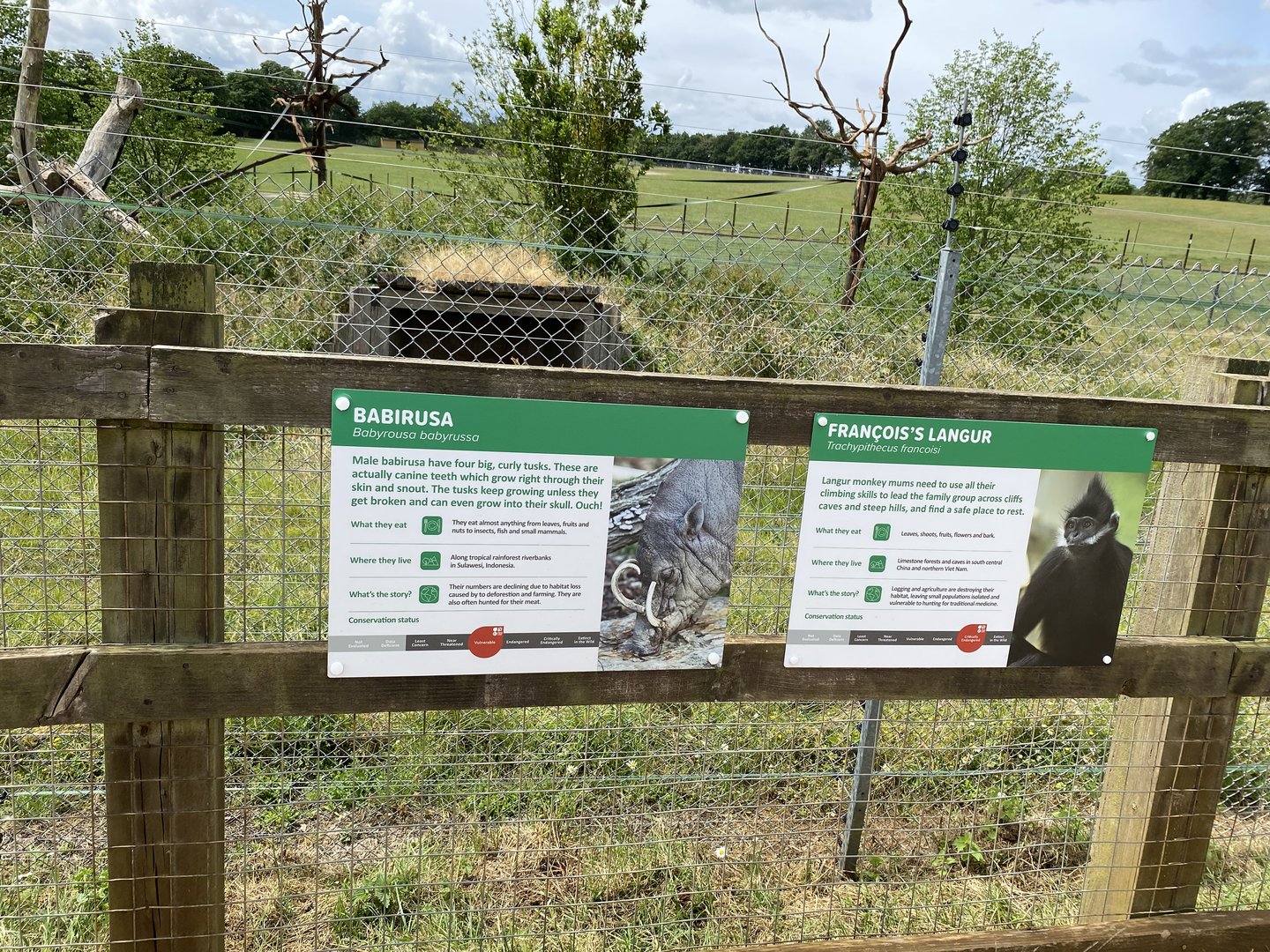 Langur and babirusa signs whipsnade