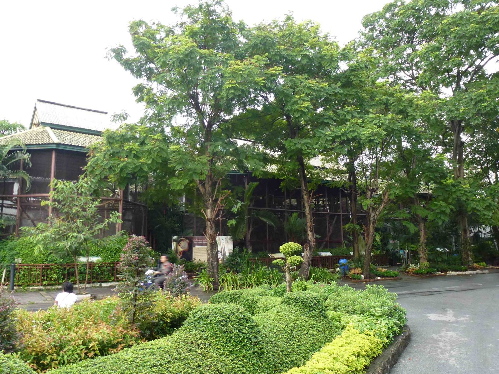 Langur enclosures, July 2013.