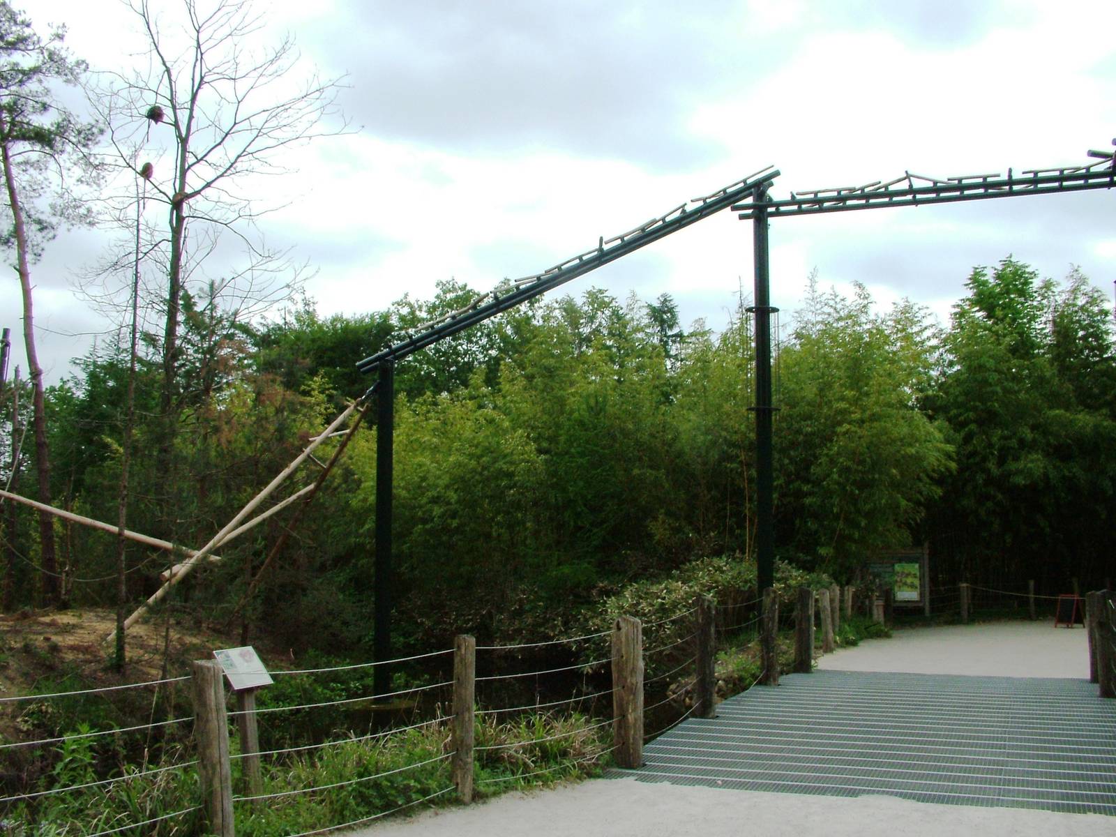 Langur Exhibit at Apenheul, 30/05/12