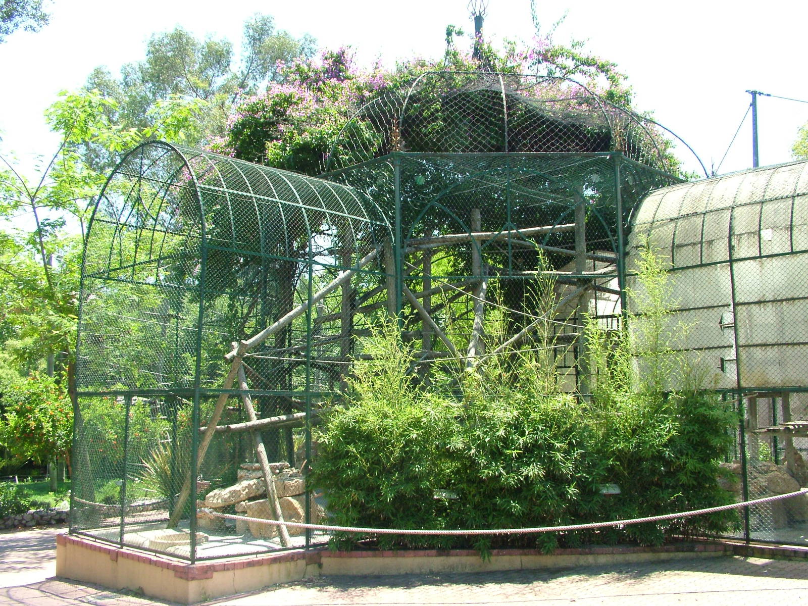 Langur Exhibit at Lisbon Zoo, 24/05/11