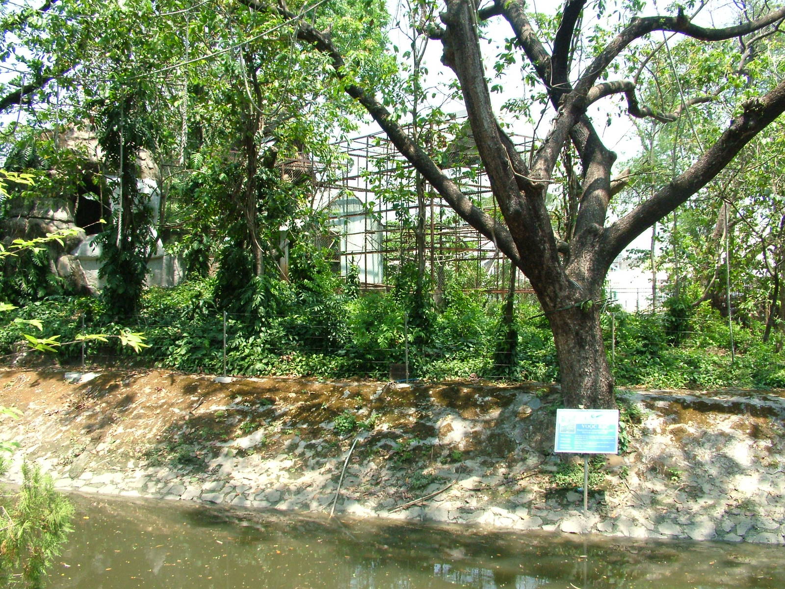 Langur Island at Saigon Zoo, 16/03/12