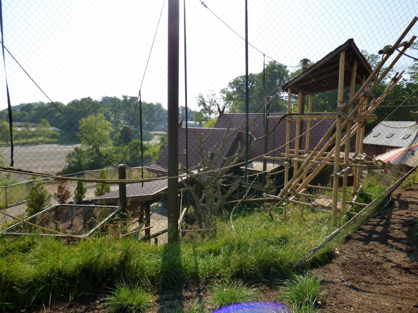 Langur Landing - May 2018