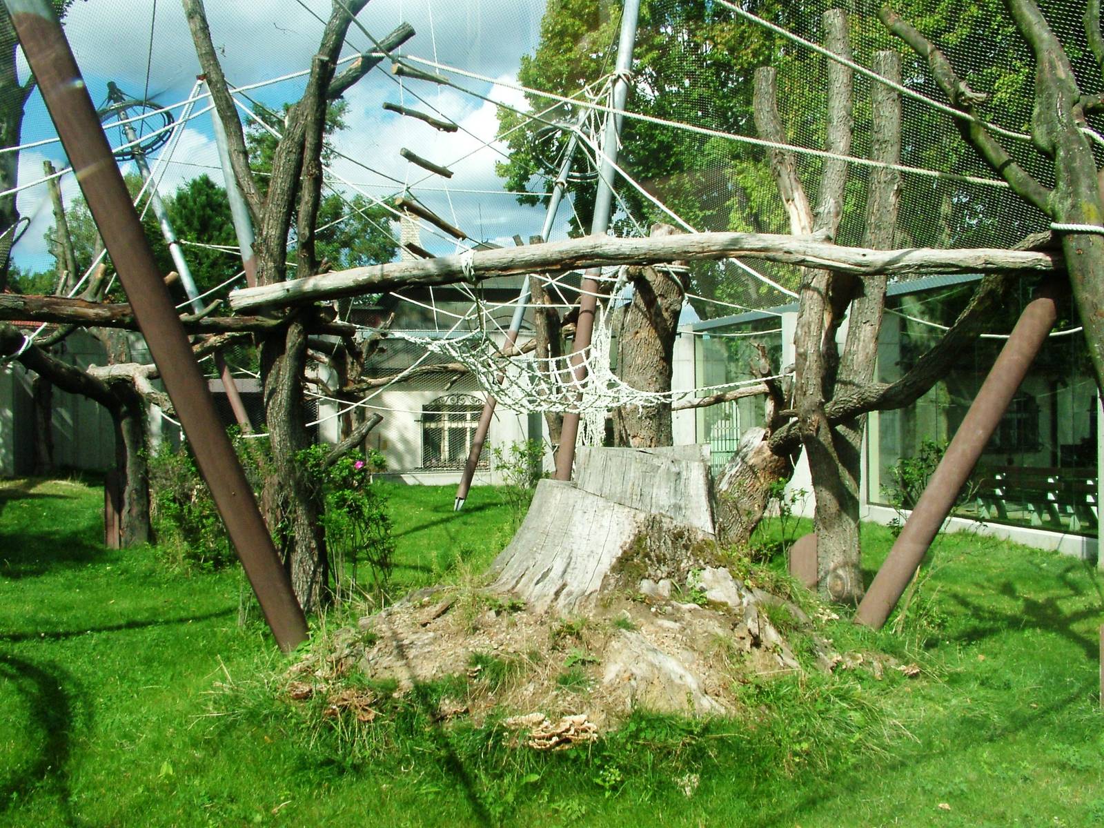 Langur/Orang Outdoor Exhibits at Dvur Kralove, 27/08/12