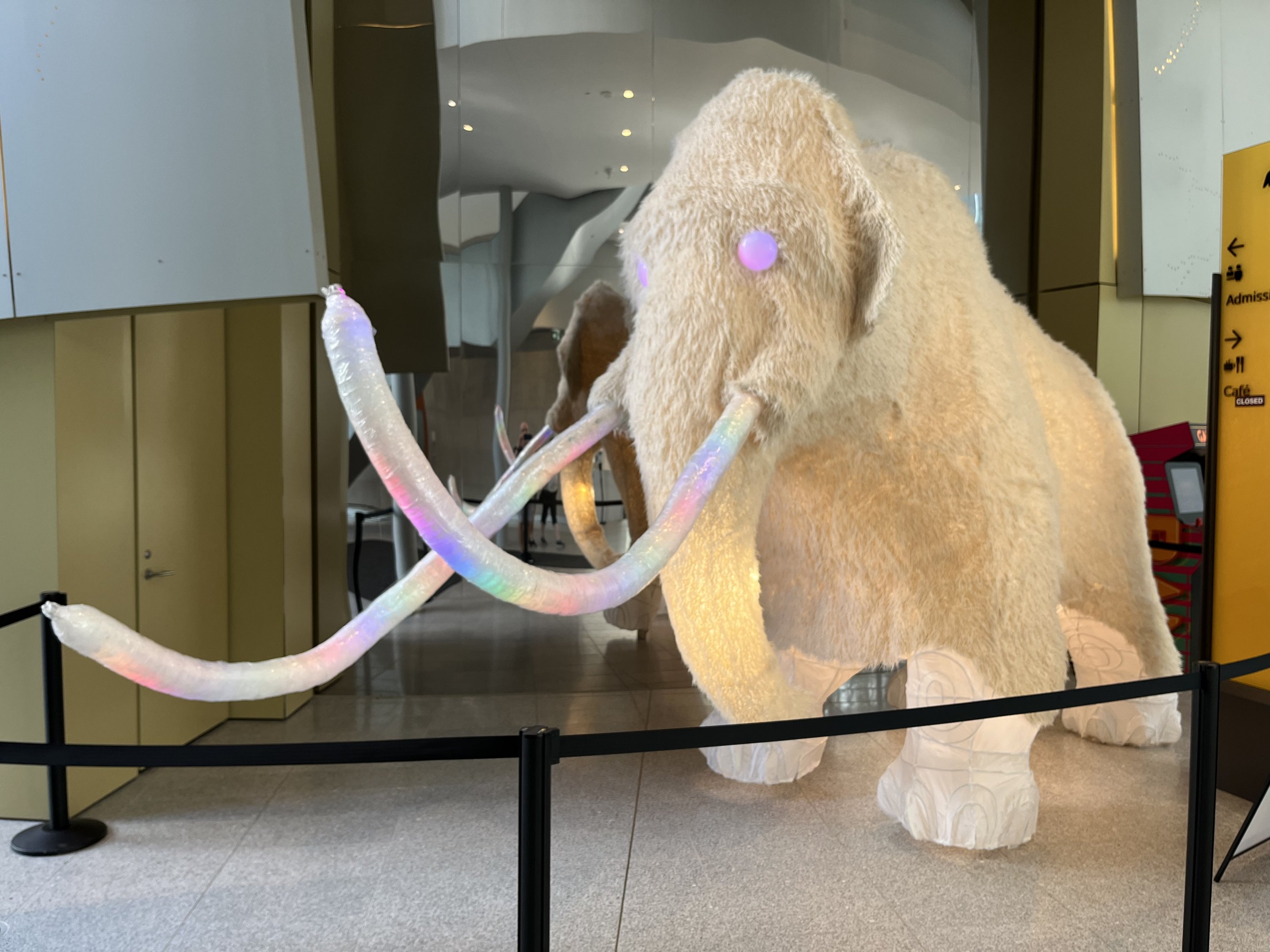Lantern Woolly Mammoth