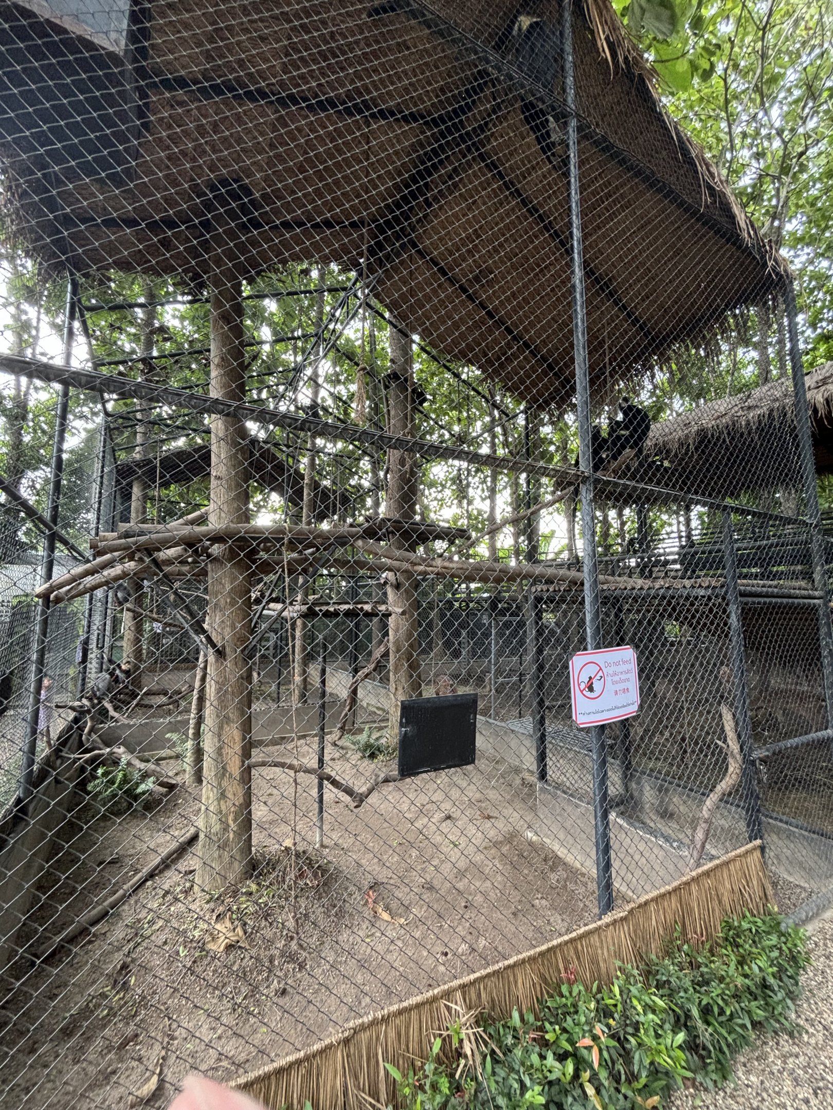 Laotian Langur Exhibit - Lanna Mini Zoo