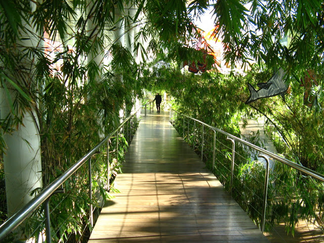 L'Aquàrium Barcelona 21.09.2009