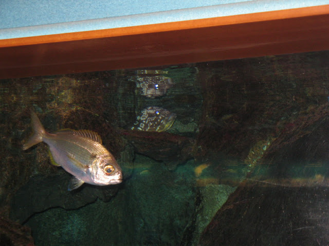 L'Aquàrium Barcelona 21.09.2009