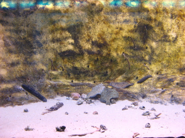 L'Aquàrium Barcelona 21.09.2009