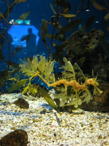 L'Aquàrium Barcelona 21.09.2009