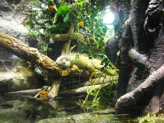 L'Aquàrium Barcelona 21.09.2009