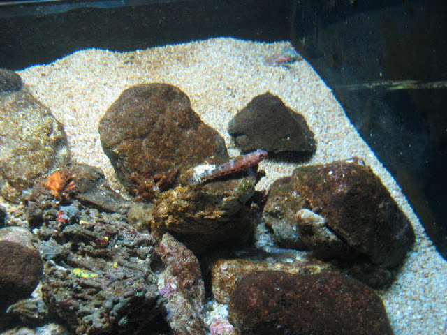 L'Aquàrium Barcelona 21.09.2009