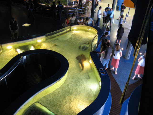 L'Aquàrium Barcelona 21.09.2009