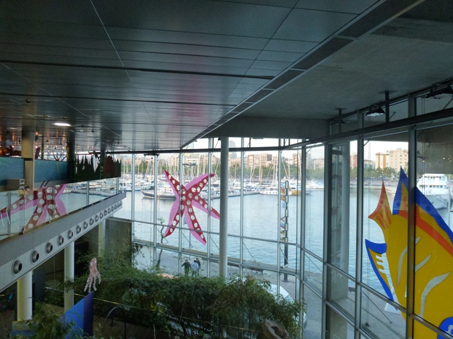 L'Aquàrium Barcelona 24.5.12