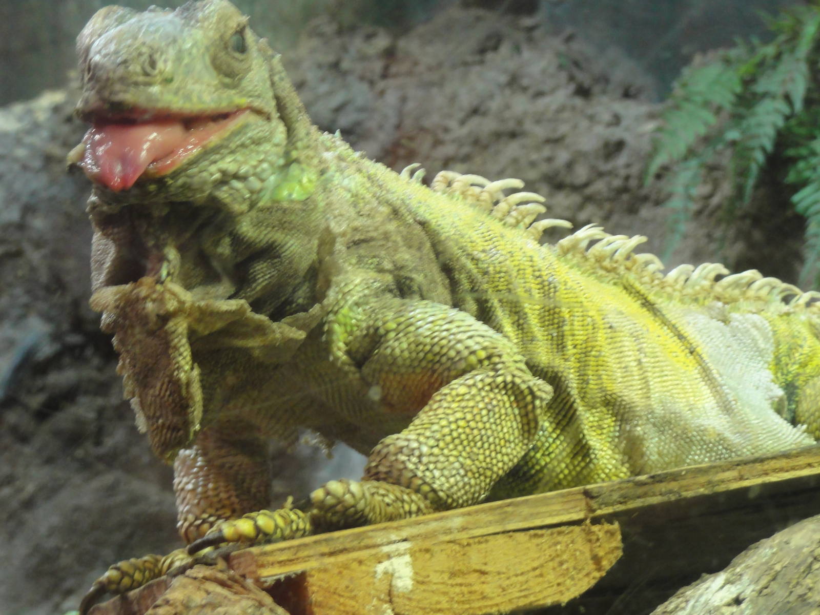 L'Aquarium Barcelona: February 2016