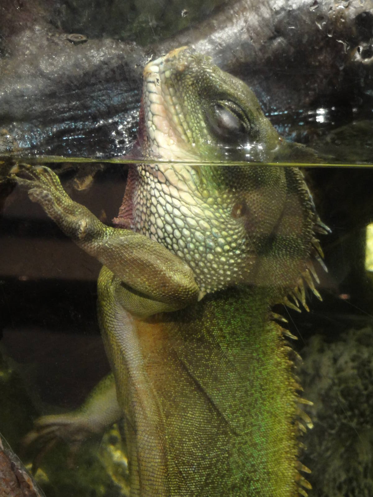 L'Aquarium Barcelona: February 2016