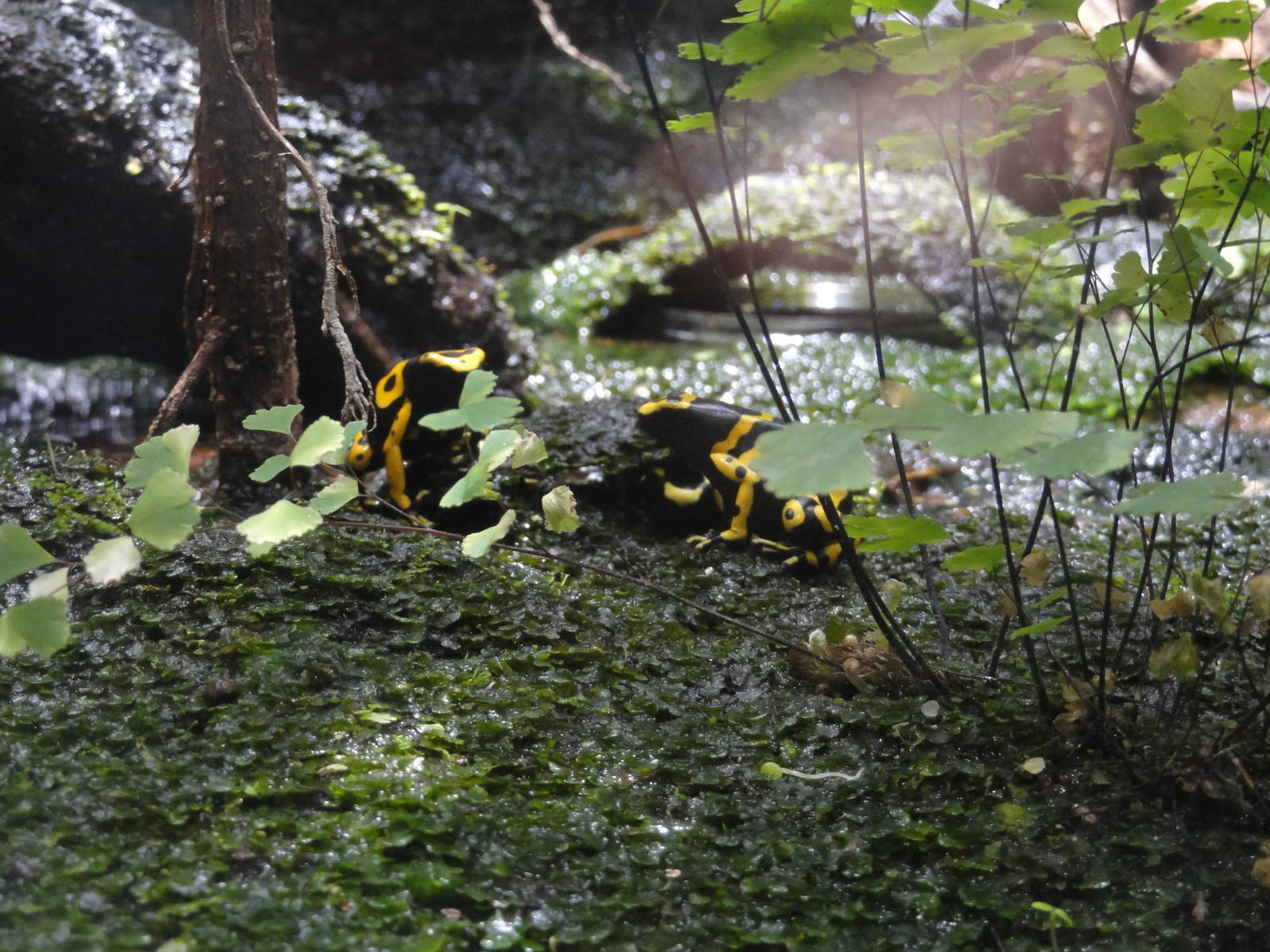 L'Aquarium Barcelona: February 2016
