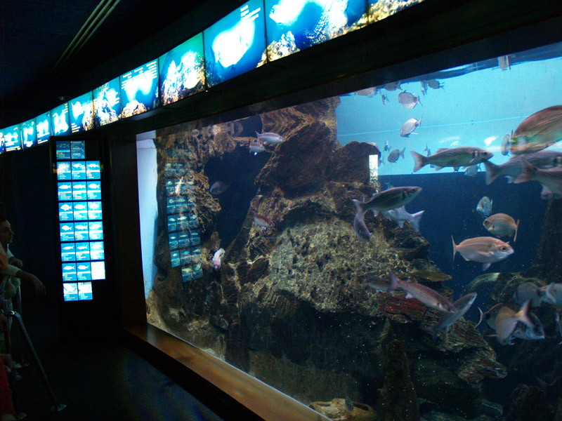 L'aquàrium Barcelona