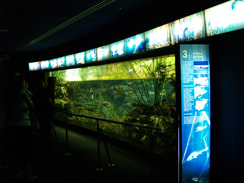 L'aquàrium Barcelona