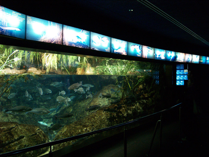 L'aquàrium Barcelona