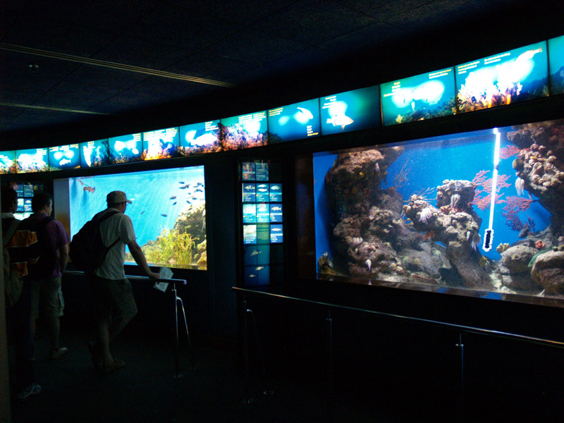 L'aquàrium Barcelona
