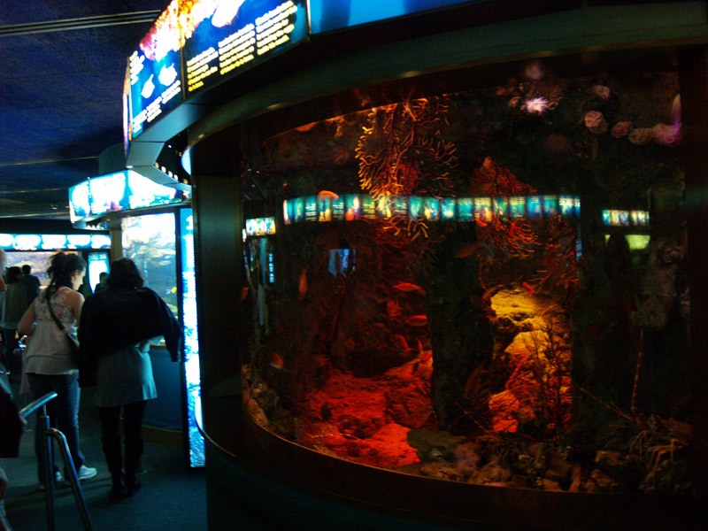 L'aquàrium Barcelona