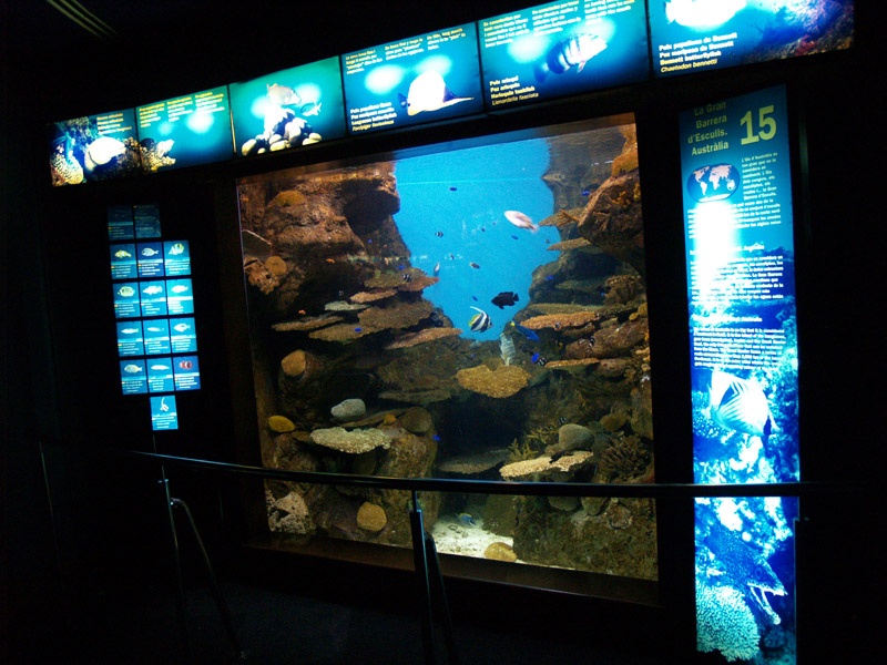 L'aquàrium Barcelona