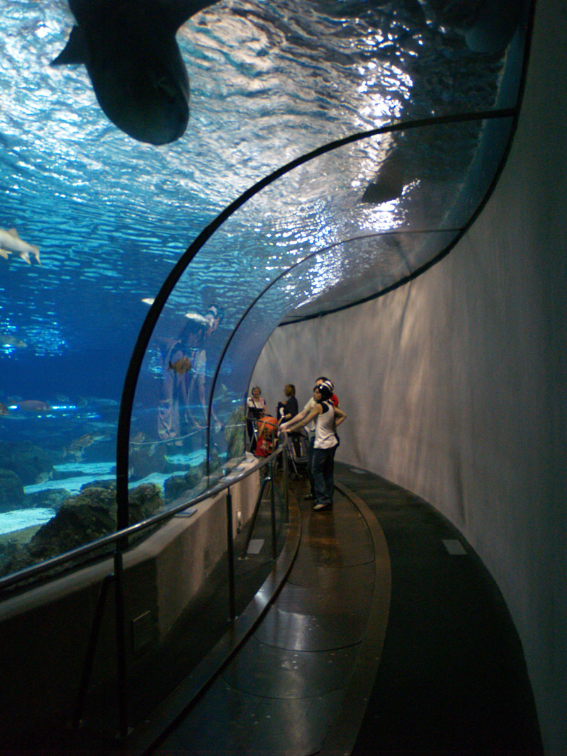 L'aquàrium Barcelona