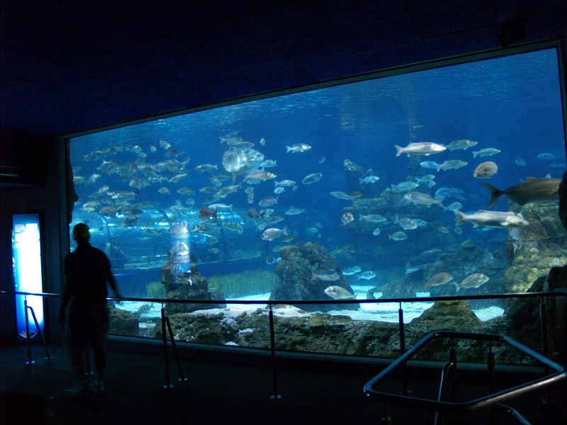 L'aquàrium Barcelona