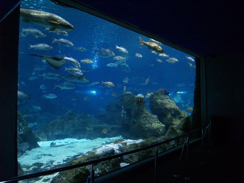 L'aquàrium Barcelona